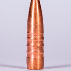 Jagdgeschoss Kaliber 243 77 Grain