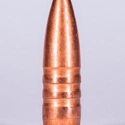 Jagdgeschoss Kaliber 270 100 Grain Botail