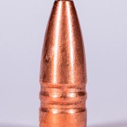 Jagdgeschoss Kaliber 30 100 Grain