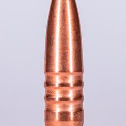 Jagdgeschoss Kaliber 30 150 Grain Botail