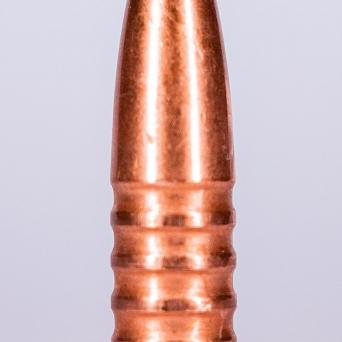 Jagdgeschoss Kaliber  30 150 Grain