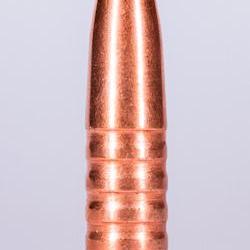 Jagdgeschoss Kaliber 30 165 Grain