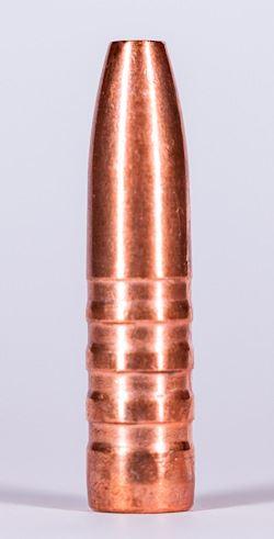 Jagdgeschoss Kaliber 30 180 Grain