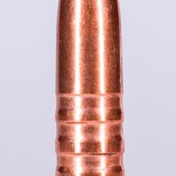 Jagdgeschoss Kaliber 30 180 Grain