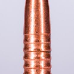 Jagdgeschoss Kaliber  338 225 Grain