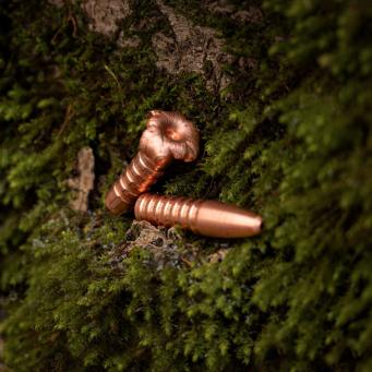 2 x Jagdgeschoss liegend auf Moos